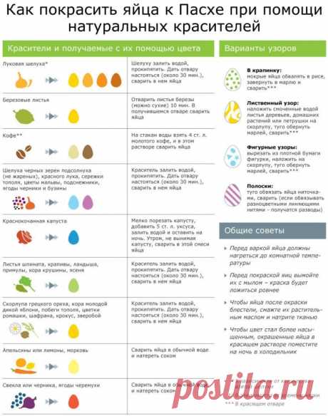 Не яйца красят человека, а человек - яйца! Модная одежда и дизайн интерьера своими руками