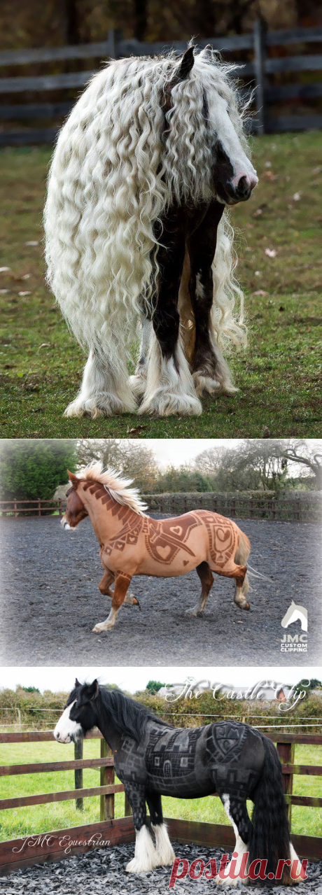 Великолепнее совершенных: лошади в орнаментах