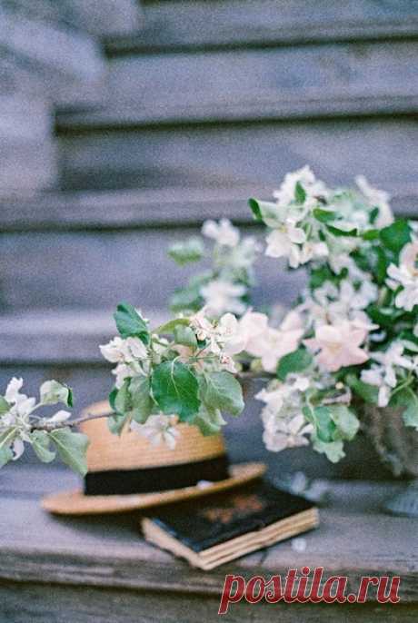 🌸Аромат цветущих яблонь, особый антураж старинной усадьбы, тепло майского вечера, фотографии на пленку…🌸