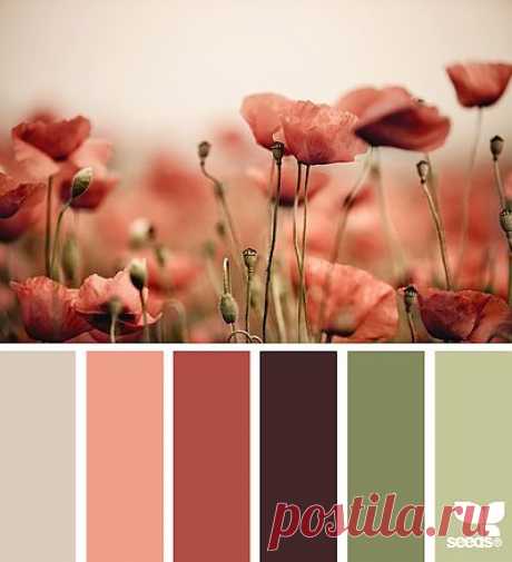 Design Seeds® | find your palette