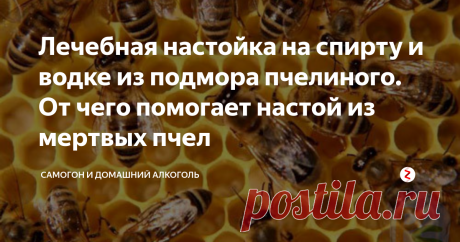 Лечебная настойка на спирту и водке из подмора пчелиного. От чего помогает настой из мертвых пчел Продукты пчеловодства справедливо заслужили уважение за свою уникальность и  способность лечить многие хвори, не прибегая к помощи химических препаратов, подмор пчелиный в том числе, - ведь это лекарство не только полезное, но вкусное.
Пчелы давно стали для нас  лекарями но, к сожалению, жизнь пчелок быстротечна, зимой они живут до 9 месяцев, а в теплое время года до трех.