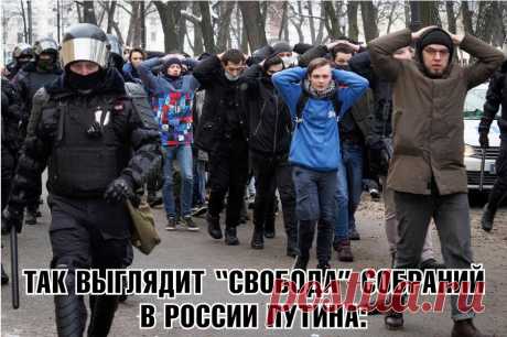 Анекдот и грустные мысли по случаю Дня полиции | Советский патриот | Яндекс Дзен