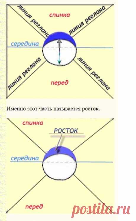 Жакет вязаный сверху спицами. Рукав реглан: разные способы вязания в фото и видео МК.