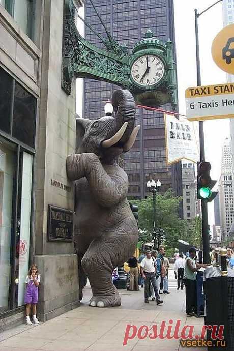 Памятник слону в натуральную величину в Чикаго