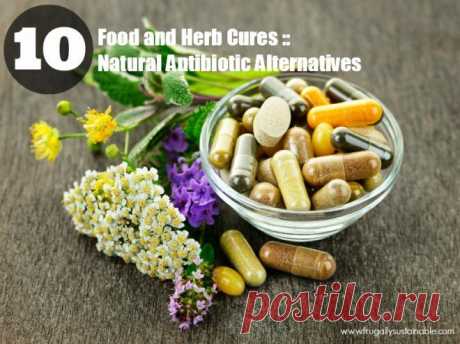 Food and Herb Cures :: 10 Natural Antibiotic Alternatives