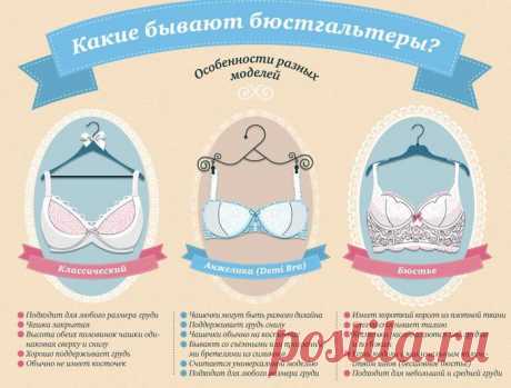 Какие бывают бюстгальтеры? Особенности разных моделей. Инфографика