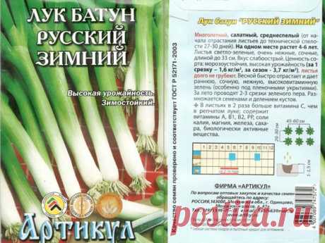Лук-батун Русский зимний: выращивание из семян, отзывы, описание и характеристика сорта, достоинства и недостатки, урожайность