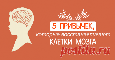 5 привычек, которые восстанавливают клетки мозга Нужно только следовать здоровым привычкам...