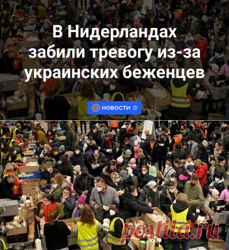 2-10-23- В Нидерландах забили тревогу из-за украинских беженцев - Новости Mail.ru