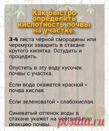 Этoт пpocтoй cпocoб пoмoжeт вaм в хoзяйcтвe



- полезно знать