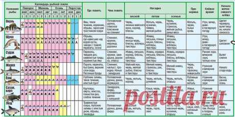 Лунный календарь рыболова 2016. Благоприятные для рыбалки на 2016 год?