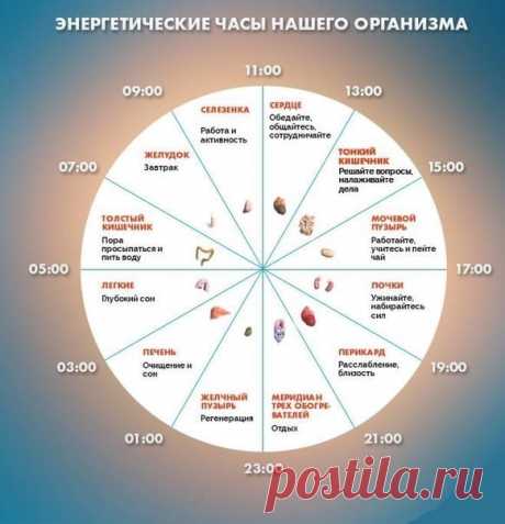 Просыпаетесь по ночам. Могут быть проблемы

Если вы просыпаетесь по ночам в определенное время, то у вас могут быть проблемы связанные со здоровьем.
Устали гадать, что происходит с вашим организмом? Тогда пришло время это выяснить. В китайской медицине есть своеобразные биологические часы нашего организма, которые помогут определить, в каком органе проблемы и что мешает вам спать.

Энергетические часы нашего организма выглядят так.

Просыпаетесь по ночам?

А вот что означа...