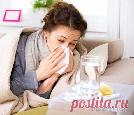 Частые простуды у взрослых: причины, лечение В норме взрослый человек не должен болеть простудой чаще двух раз в год в момент сезонной эпидемии ОРВИ. Если же кашель, насморк, боль в горле, высыпания на губах, температура и прочие симптомы просту...