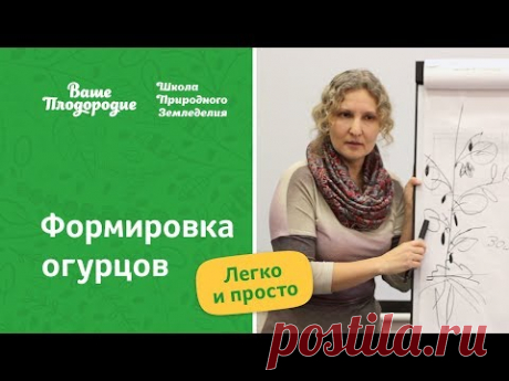 Заключительная часть семинара Наталии Петровой о формировке овощей. Формировка огурцов. Фрагмент семинара школы природного земледелия, 16 декабря 2017 г. Уфа...