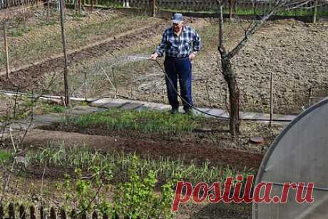 Дачникам посоветовали бороться с сорняками с помощью соли. Бороться с сорняками на даче можно с помощью раствора из соли. О таком совете для владельцев земельных участков стало известно из материала издания «БелНовости». В качестве способа борьбы с сорняками дачники часто используют опилки и щебень, которыми покрывают проблемные участки.