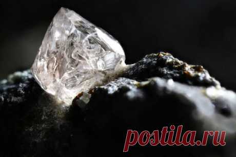 2022-АЛМАЗ массой 131 карат обнаружили на северо-востоке Анголы На северо-востоке Анголы обнаружен белый алмаз массой 131 карат, передает южноафриканская радиостанция&nbsp;SABC.Находка была сделана на месторождении Луло. Его разрабатывает компания Lucapa Diamond Company (Австралия) и местное госпредприятие Endiama.По данным радиостанции, алмаз добыли...