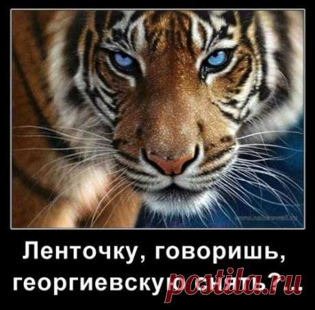 Украинские сенсации. Большая распродажа [14/02/2015, Документальный, WEBRip] • Riper.AM - Скачать торрент с Торрент трекер.Фильмы, сериалы, музыка, игры , софт, книги все новинки только для вас