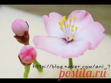 클레이아트 벚꽃 만들기 Flower Clay * Cherry Blossom