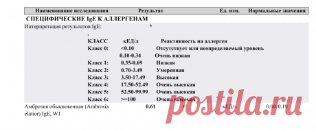 аллергия...что такое НОрмы по классам-36-1qG-lqG4: 960 изображений найдено в Яндекс Картинках