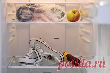Холодильник не по назначению (советы)