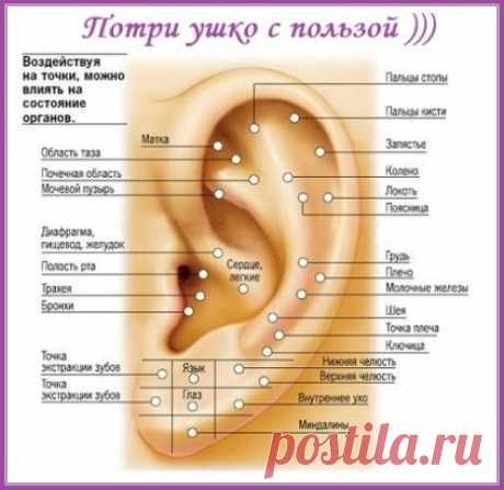 Противопоказания к массажу:
 Однажды тибетского специалиста по массажу спросили:"Какие есть 
противопоказания к вашему массажу?"
Мастер ответил:" Разве кому-то  противопоказано тепло человеческих рук?
Если в доме заперта  дверь-мы открываем ее ключом, если сломался 
ключ-можно открыть окно. Так и с массажем: нельзя работать на 
ногах-можно на голове, если нельзя работать на голове -можно 
воздействовать через стопы. Подобрать ключ к каждому организму-вот 
основная задача каждого массажиста."
за