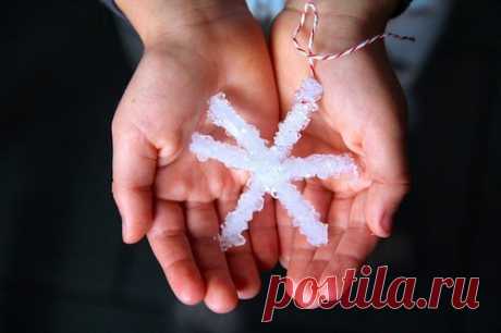 Выращиваем снежинку из кристаллов соли  — Поделки с детьми