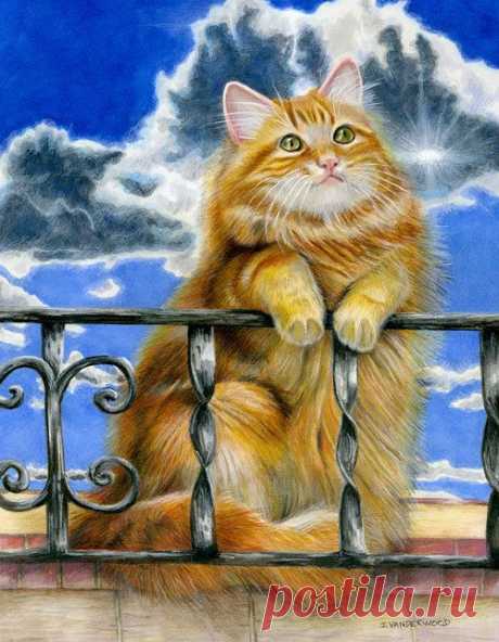 Cat Orange Tabby Clouds Realism Sunshine Small Original Art Painting #Realism