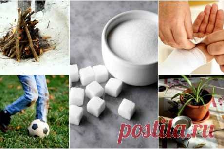 Сладкая жизнь: 10 хитростей решить проблему с помощью сахара