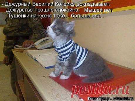 Василий Котейко