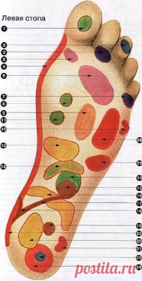 Как правильно массировать стопы | Я ЗДОРОВ!