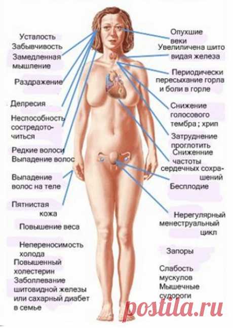 Гипотиреоз - симптомы и лечение