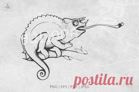 Jackson's Chameleon, Wild animal vector lineart & PNG