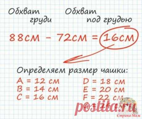 Как определить размеры нижнего белья. - ВЯЗАНАЯ МОДА+ ДЛЯ НЕМОДЕЛЬНЫХ ДАМ - Страна Мам