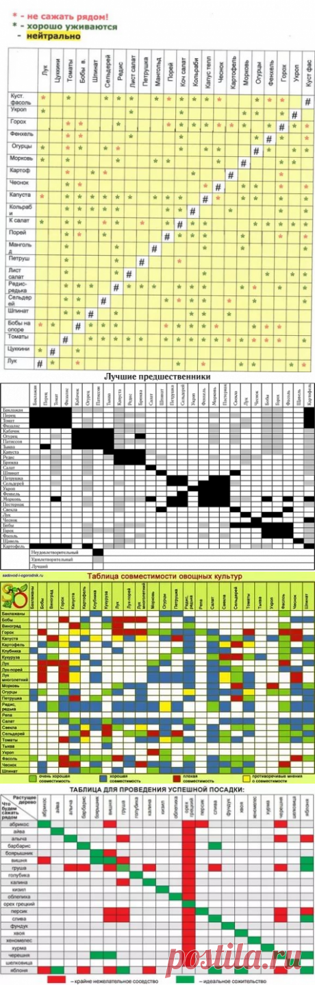 схема посева овощей у Кизимы: 10 тыс изображений найдено в Яндекс.Картинках
