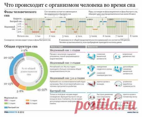 НЕДОСТАТОК СНА ВЕДЁТ К РАЗРУШЕНИЮ МОЗГА? / Абсолютное здоровье