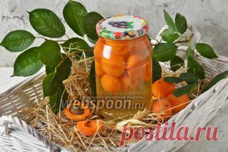 Компот из абрикосов на зиму с косточками рецепт с фото, как приготовить на Webspoon.ru