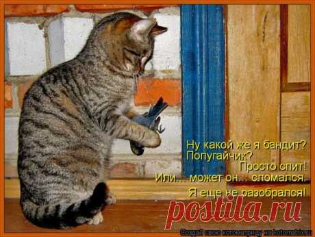 Позитивные котоматрицы (50 фото) » Лента приколов Коляна