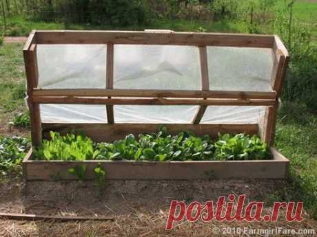 In My Kitchen Garden: Do It Yourself Kitchen Garden Inspiration: Build an Amish Cold Frame