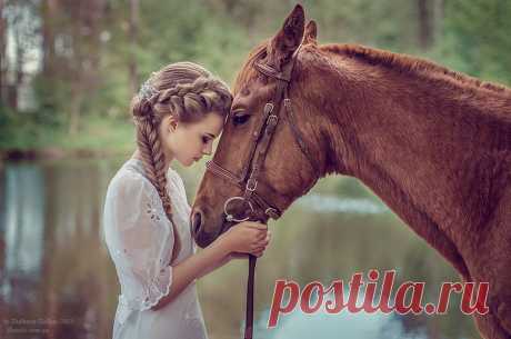30 идеальных фотографий лошадей – грация, краса и сила