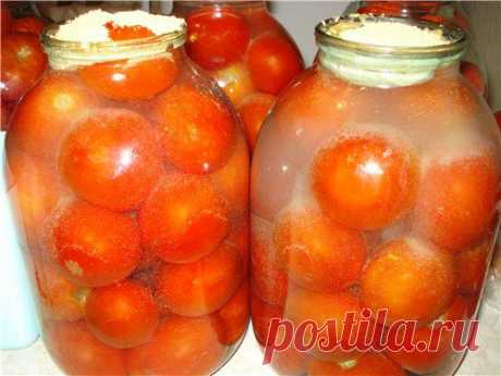 Соленые помидоры: 3 вкусных рецепта.