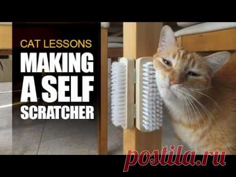 How to Make a Self Scratcher for Cats