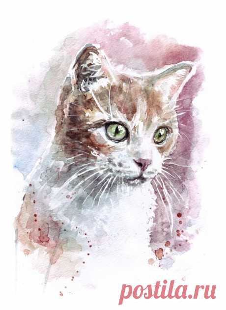 «Котёнок, акварель. Автор - Наташа (Tateshi) Пилипенко. Давно рисует, иллюстрирует.. Влюблена в акварель.» — карточка пользователя slavashishaev в Яндекс.Коллекциях