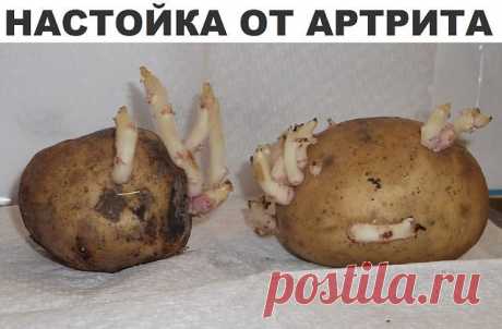 Настойка от Артрита