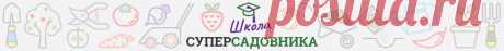 Сад, огород, участок и дом - как обустроить. Все для вашего сада и огорода, участка и дома.