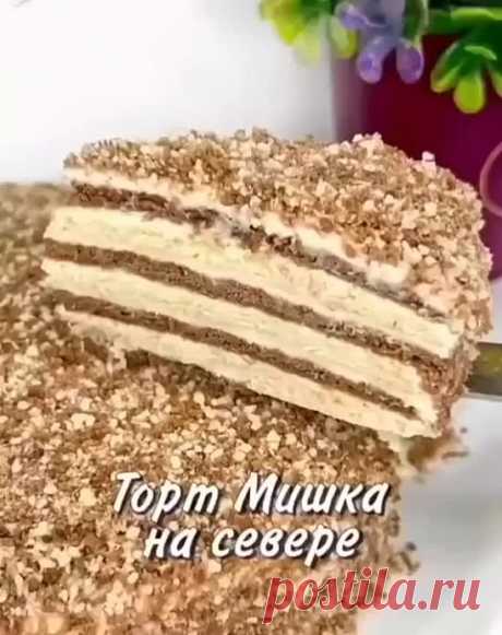 ТОРТ МИШКА НА СЕВЕРЕ