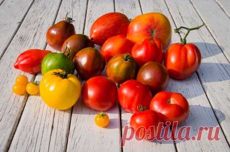 Покупка семян томатов – дело непростое: выбираем сорт томатов — 6 соток
