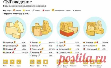 А вы хорошо разбираетесь в сырах? Вот табличка в помощь | Хитрости Жизни