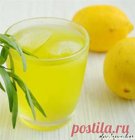 Лимонный напиток с мятой - Простые рецепты Овкусе.ру