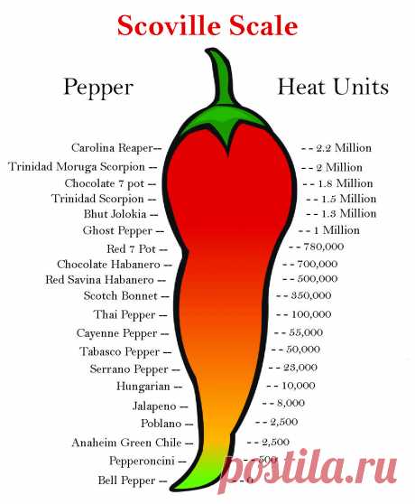 Перец скорпион сковели Огород без хлопот - информационный сайт для дачников, садоводов и огородников.