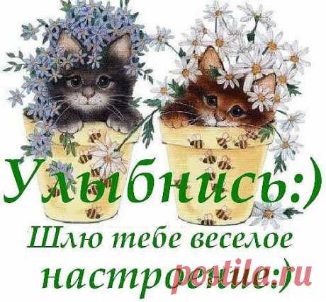 Улыбнись! Веселого настроения!